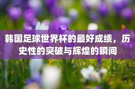 韩国足球世界杯的最好成绩，历史性的突破与辉煌的瞬间