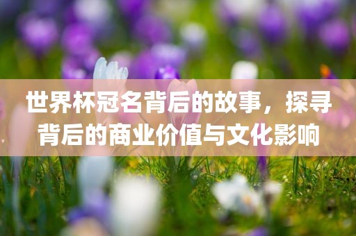 世界杯冠名背后的故事，探寻背后的商业价值与文化影响漯河市盈旭机械设备有限公司