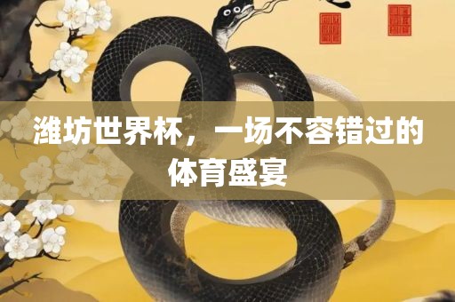 潍坊世界杯，一场不容错过的体育盛宴