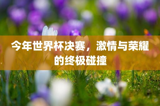 世界杯决赛 第5页