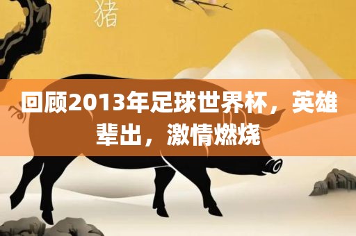 回顾2013年足球世界杯，英雄辈出，激情燃烧