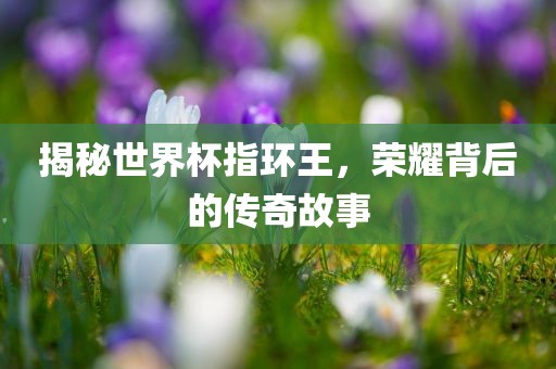 揭秘世界杯指环王，荣耀背后的传奇故事