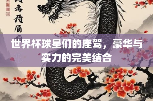 世界杯球星们的座驾，豪华与实力的完美结合