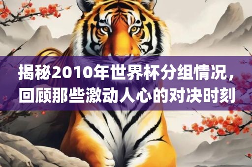 揭秘2010年世界杯分组情况，回顾那些激动人心的对决时刻漯河市盈旭机械设备有限公司