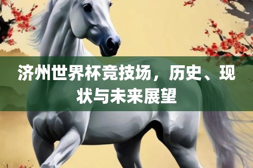 济州世界杯竞技场，历史、现状与未来展望漯河市盈旭机械设备有限公司