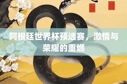 阿根廷世界杯预选赛，激情与荣耀的重燃
