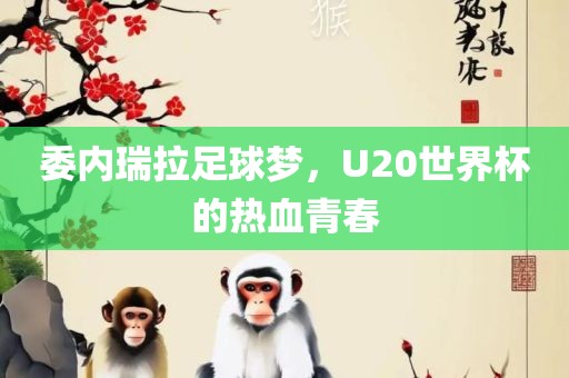 委内瑞拉足球梦，U20世界杯的热血青春