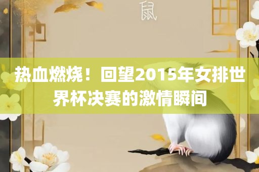 热血燃烧！回望2015年女排世界杯决赛的激情瞬间漯河市盈旭机械设备有限公司