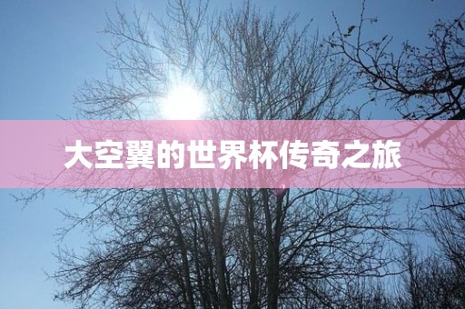大空翼的世界杯传奇之旅漯河市盈旭机械设备有限公司