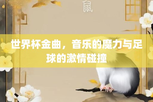 世界杯金曲，音乐的魔力与足球的激情碰撞