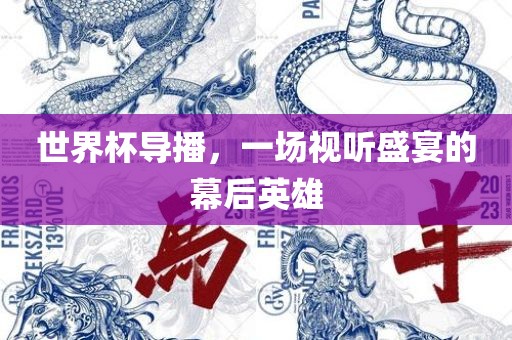 世界杯导播，一场视听盛宴的幕后英雄