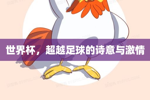 世界杯，超越足球的诗意与激情漯河市盈旭机械设备有限公司