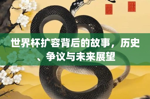 世界杯扩容背后的故事，历史、争议与未来展望漯河市盈旭机械设备有限公司