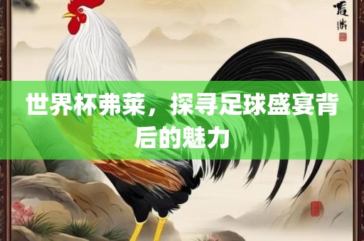 世界杯弗莱，探寻足球盛宴背后的魅力