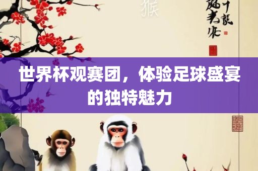 世界杯观赛团，体验足球盛宴的独特魅力