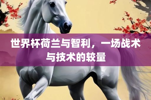 世界杯荷兰与智利，一场战术与技术的较量漯河市盈旭机械设备有限公司