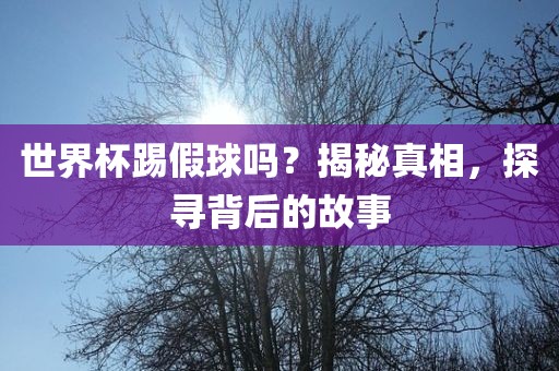 世界杯踢假球吗？揭秘真相，探寻背后的故事