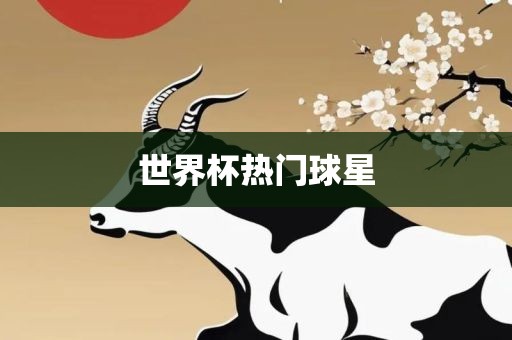 漯河市盈旭机械设备有限公司世界杯热门球星