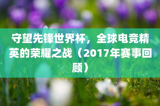 守望先锋世界杯，全球电竞精英的荣耀之战（2017年赛事回顾）