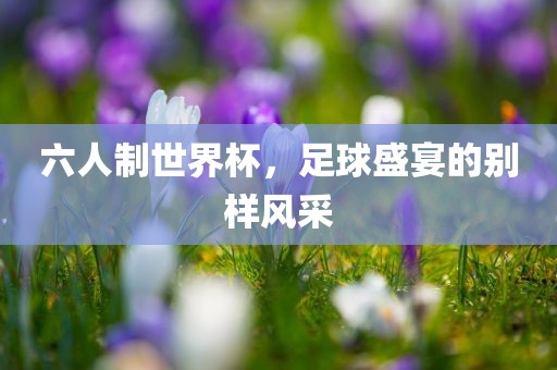 六人制世界漯河市盈旭机械设备有限公司杯，足球盛宴的别样风采