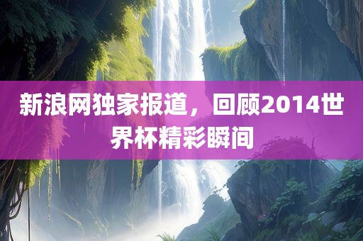 新浪网独家报道，回顾2014世界杯精彩瞬间