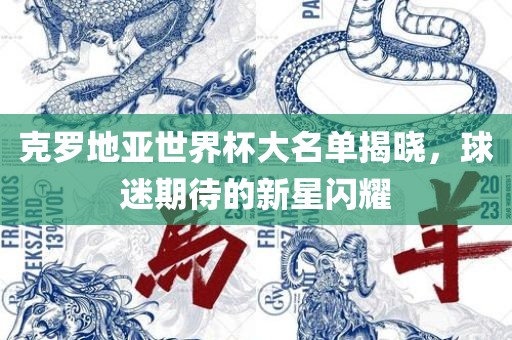 克罗地亚世界杯大名单揭晓，球迷期待的新星闪耀