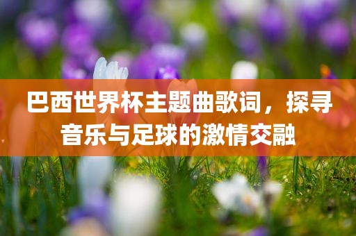 巴西世界杯主题曲歌词，探寻音乐与足球的激情交融