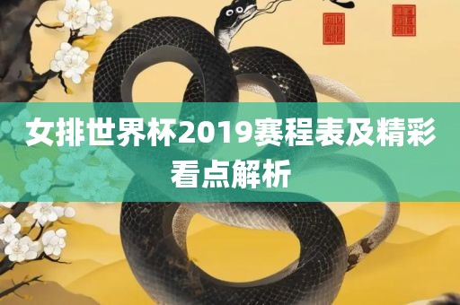 女排世界杯2019赛程表及精彩看点解析