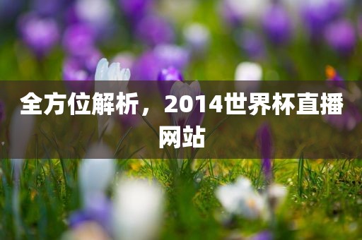 全方位解析，2014世界杯直播网站