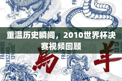 重温历史瞬间，2010世界杯决赛视频回顾漯河市盈旭机械设备有限公司