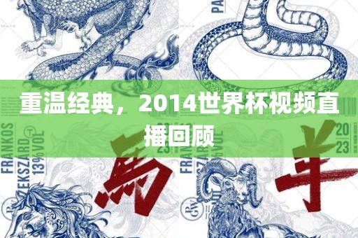 重温经典，2014世界杯视频直播回顾