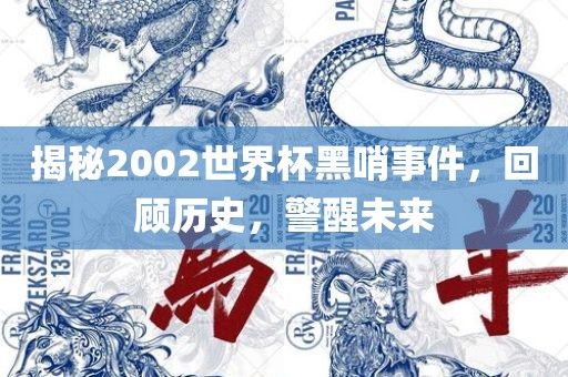 揭秘2002世界杯黑哨事件，回顾历史，警醒未来漯河市盈旭机械设备有限公司