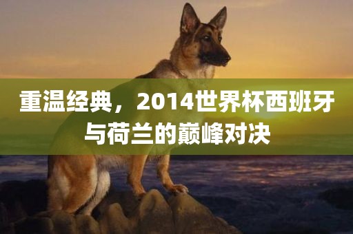 西班牙与荷兰对决