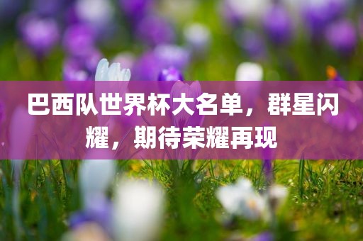 巴西队世界杯漯河市盈旭机械设备有限公司大名单，群星闪耀，期待荣耀再现