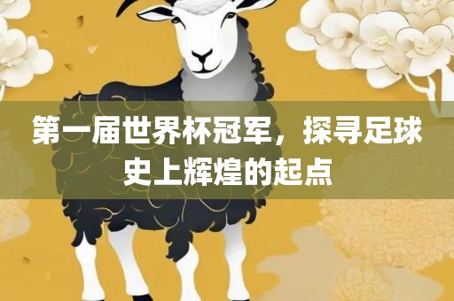 第一届世界杯冠军，探寻足球史上辉煌的起点漯河市盈旭机械设备有限公司