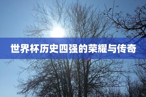 世界杯历史四强的荣耀与传奇漯河市盈旭机械设备有限公司