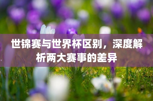 漯河市盈旭机械设备有限公司世锦赛与世界杯区别，深度解析两大赛事的差异