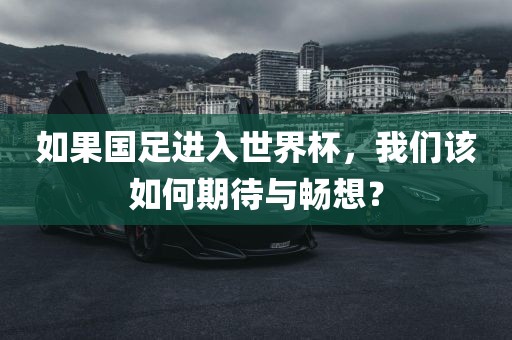 如果国足进入世界杯，我们该如何期待与畅想？