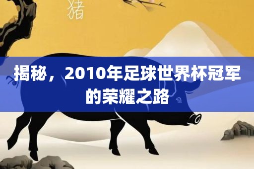 揭秘，2010年足球世界杯冠军的荣耀之路