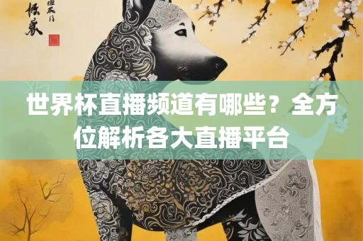 世界杯直播频道有哪些漯河市盈旭机械设备有限公司？全方位解析各大直播平台