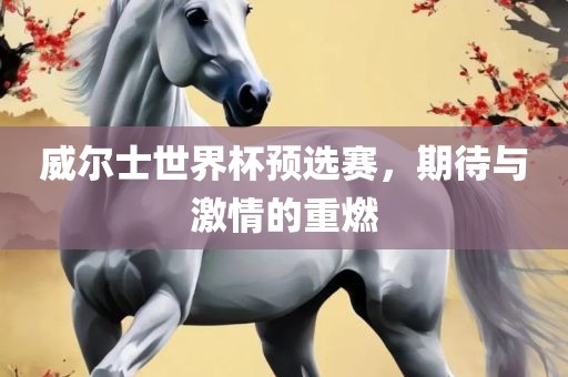 威尔士世界杯预选赛，期待与激情的重燃
