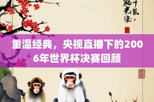 重温经典，央视直播下的2006年世界杯决赛回顾