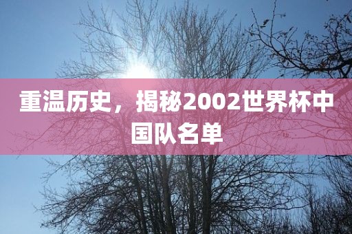 重温历史，揭秘2002世界杯中国队名单