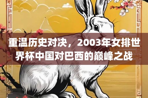 重温历史对决，2003年女排世界杯中国对巴西的巅峰之战
