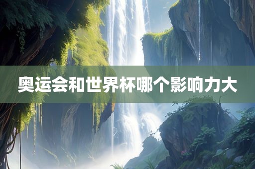 奥运会