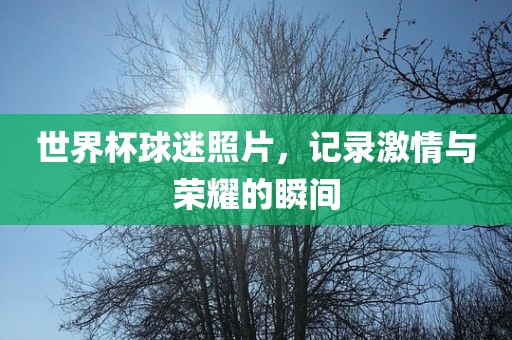 世界杯球迷照片，记录激情与荣耀的瞬间