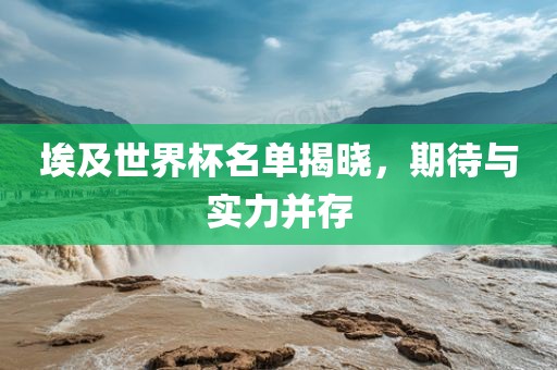 埃及世界杯名单揭晓，期待与实力并存