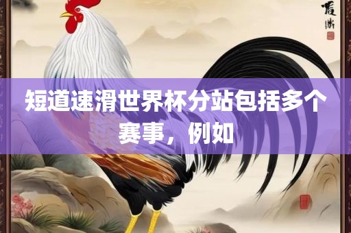 短道速滑世界杯分站包括多个赛事，例如
