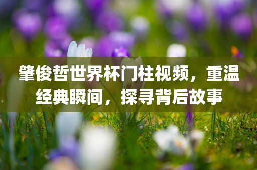 肇俊哲世界杯门柱视频，重温经典瞬间，探寻背后故事漯河市盈旭机械设备有限公司