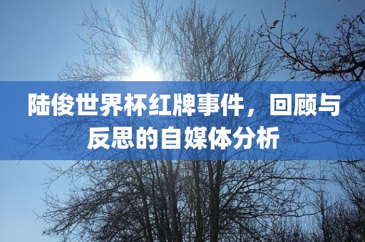陆俊世界杯红牌事件，回顾与反思的自媒体分析漯河市盈旭机械设备有限公司
